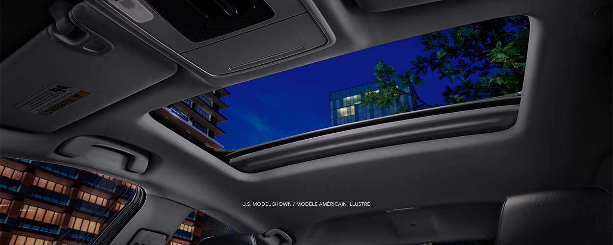 Worm's eye view of open moonroof showcasing city buildings and tree branches at night.